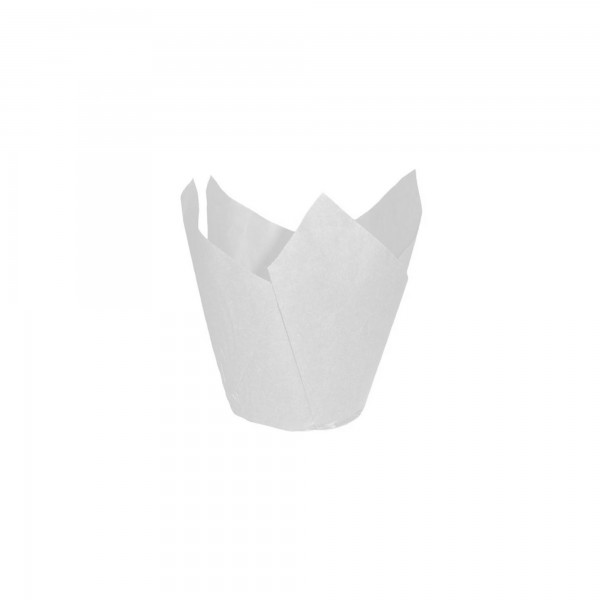 250 pz Pirottini TULICASES 5x5 cm