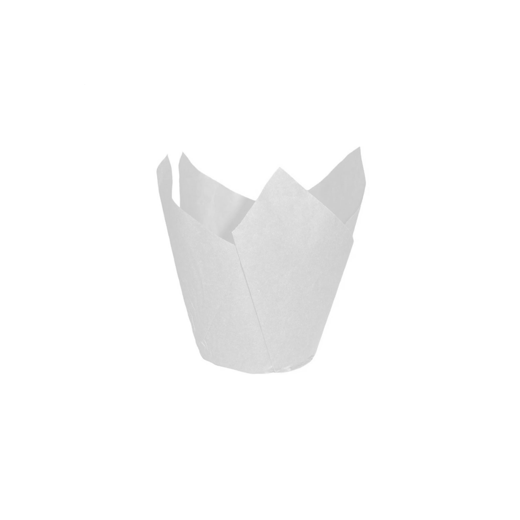 250 pz pirottini da pasticceria