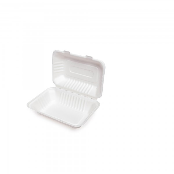 50 pz Contenitori in polpa di cellulosa 13,5x20,5x4,5 cm - 1 SCOMPARTO