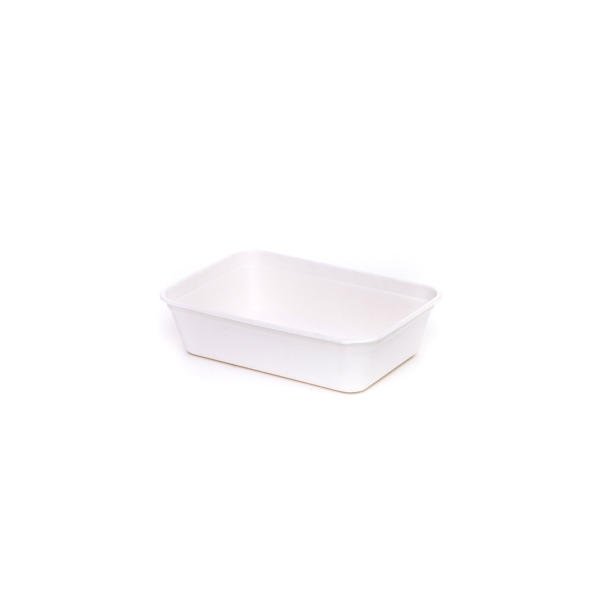 50 pz piatti in polpa di cellulosa