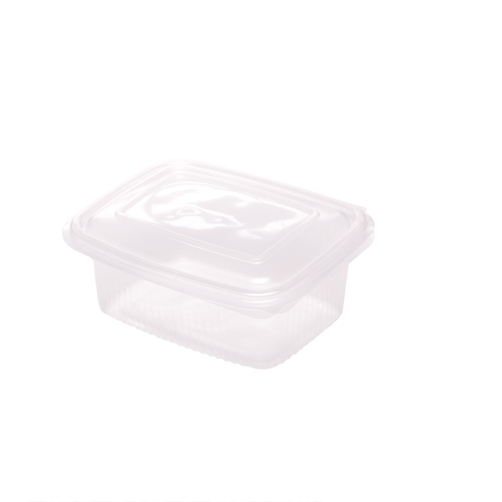 50 pz contenitori in polipropilene